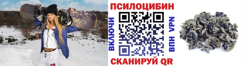 Галлюциногенные грибы прущие грибы  Купить  Злынка 